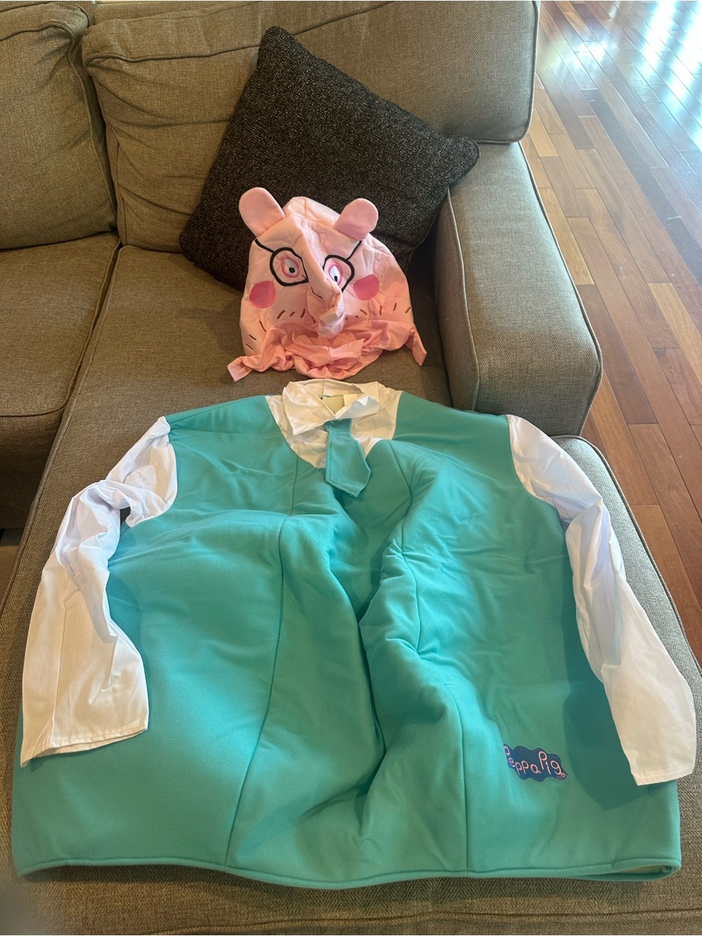 Peppa Pig Daddy Pig Teal & Pink Costume Set with White Sleeves